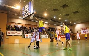 fin2011-03.JPG